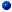 bullet
